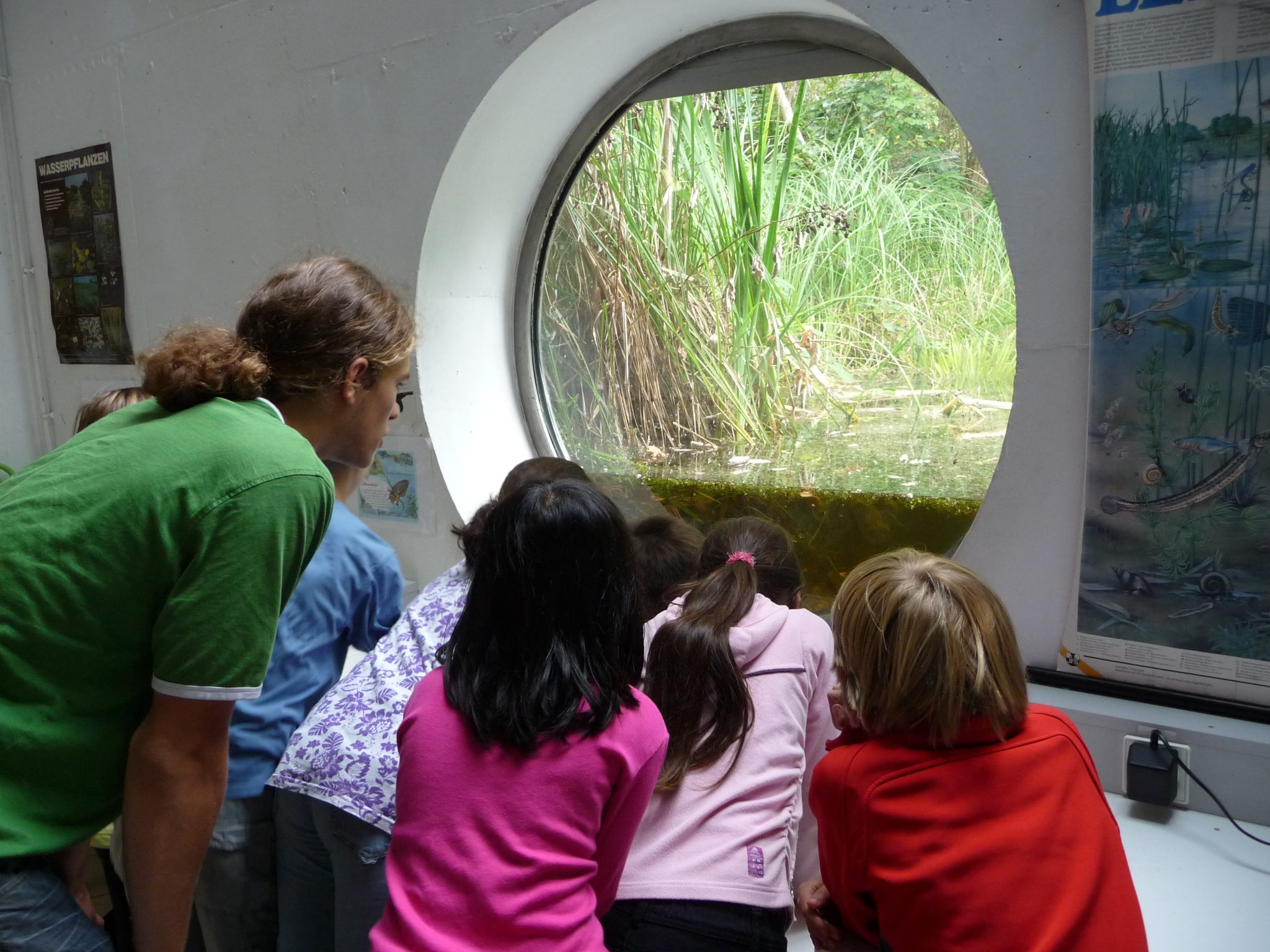 EIne Kindergruppe blickt durch ein Fenster unter die Teichoberfläche.